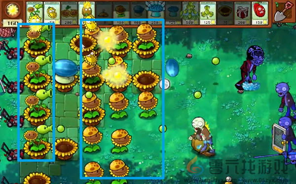 植物大战僵尸杂交版冒险第36关通关详细教程(图4)