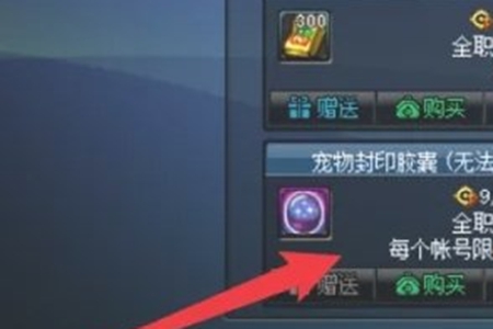 地下城与勇士起源宠物封印胶囊作用介绍(图4) 地下城与勇士起源宠物封印胶囊作用介绍(图4)