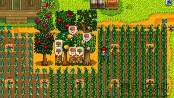 星露谷物语蘑菇树桩流玩法攻略(图3)